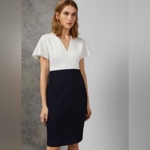 NWT Ted Baker Dress